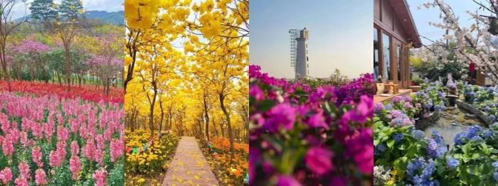 中山咖啡廳 中山咖啡廳