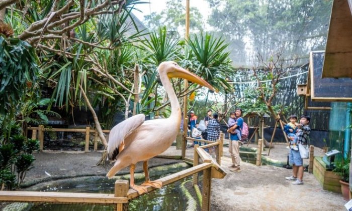 綠世界最佳行程規劃:避開人潮小技巧 綠世界最佳行程規劃:避開人潮小技巧